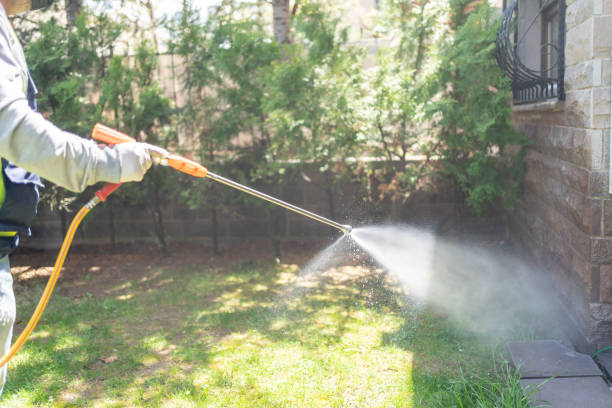 Best Residential Pest Control  in Arrowhead Beach, NC